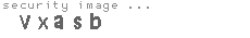 security image