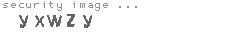 security image