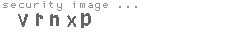 security image