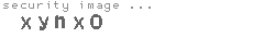security image
