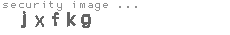 security image