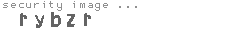 security image