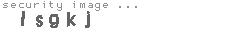 security image