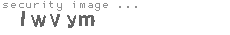 security image