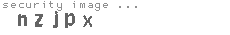 security image