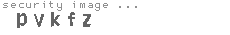 security image