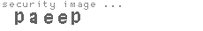 security image