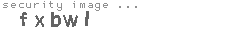 security image