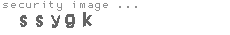 security image