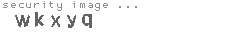 security image