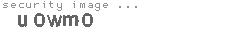 security image