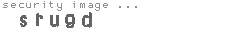 security image