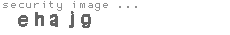 security image