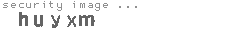 security image