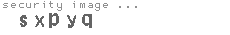 security image
