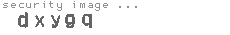 security image