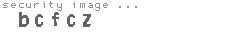 security image