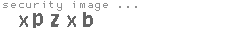 security image