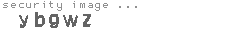 security image