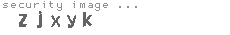 security image