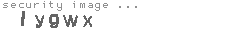 security image