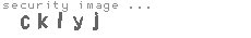 security image