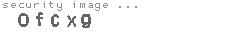 security image