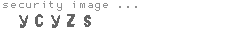 security image