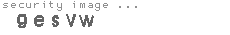 security image