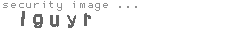 security image