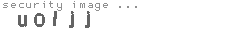 security image