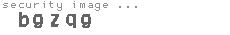 security image