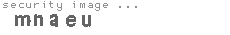security image