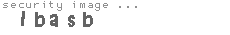 security image