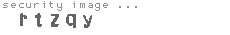 security image