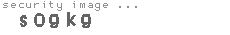 security image