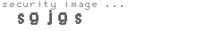 security image