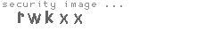 security image