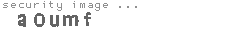 security image