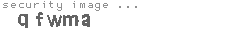 security image