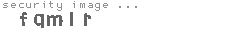 security image