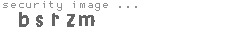 security image