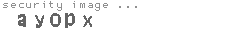 security image