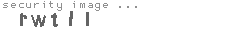 security image