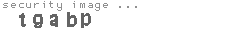 security image