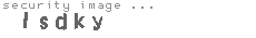 security image