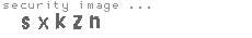 security image