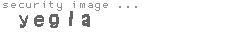 security image