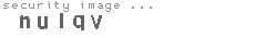 security image
