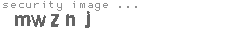 security image